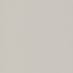 Light Gray 901